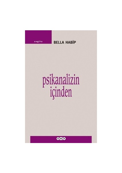 Psikanalizin Içinden