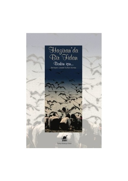 Haziran'da Bir Fidan