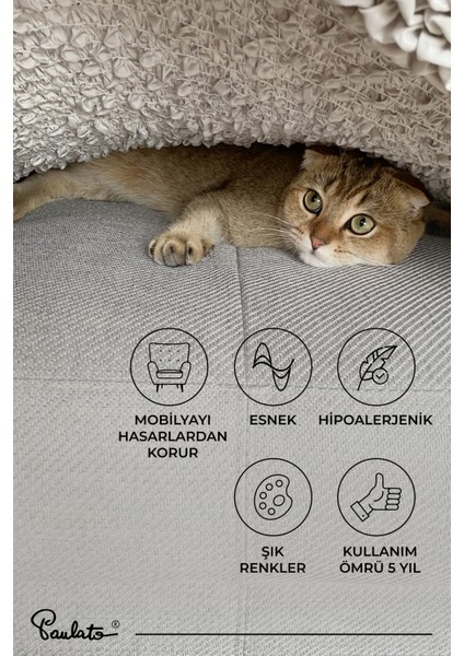 Lastikli Esnek ve Yıkanabilir 2 Kişilik Koltuk Örtüsü Çekyat Kanepe Kılıfı - Beyaz