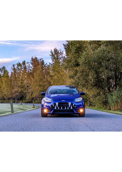 Ford Focus St Cadılar Bayramı Dişleri Üst Grille Için (Plastik Aparattır!!!) modelleri