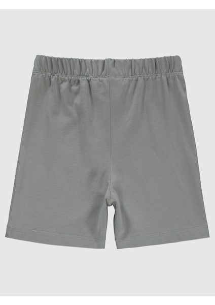Erkek Çocuk Şort 2-5 Yaş Açık Gri fiyatları