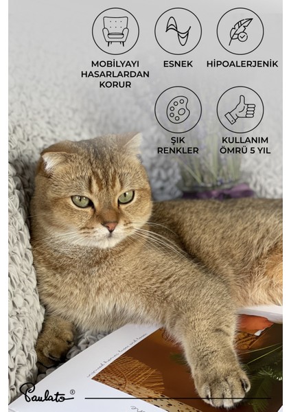 Lastikli Esnek ve Yıkanabilir 4 Kişilik Koltuk Örtüsü Çekyat Kanepe Kılıfı - Açık Gri