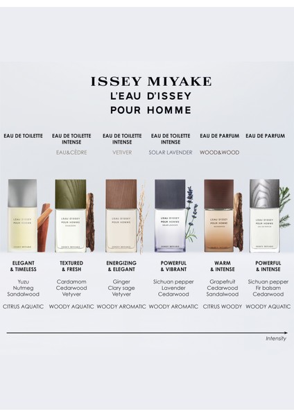 Leau Dissey Pour Homme Edp 75 ml Erkek Parfüm