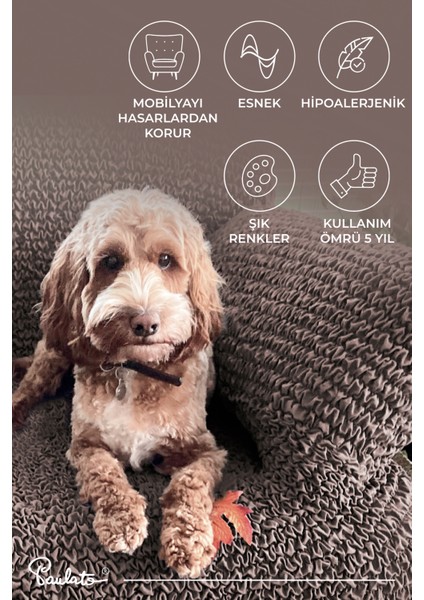 Lastikli Esnek ve Yıkanabilir Sağ Çıkıntılı Koltuk Örtüsü Çekyat Kanepe Kılıfı - Kakao