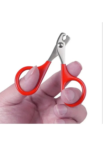 Kedi Tırnak Makası Küçük Köpek Kedi Profesyonel Köpek Yavrusu Tırnak Kesici Evcil Hayvan Tırnakları Makas Trimi Bakımı Kedi Aksesuarları Renk:kırmızı (Yurt Dışından)