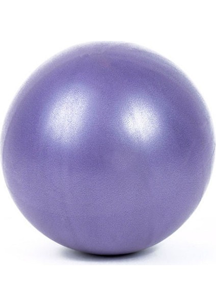 Mor Tarzı cm Pilates Topu Yoga Topu Egzersiz Jimnastik Fitness Topu Denge Egzersizi Fitness Yoga Core ve Salon Antrenman Topu (Yurt Dışından)
