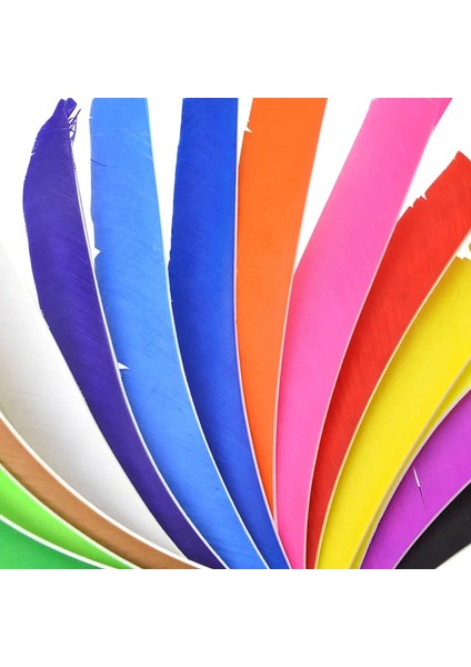 Renk 2 Tarzı Okçuluk Tam Boy Gerçek Türkiye Tüy Ok Tüy Fletching Sol Kanat Doğa Sporları Çekim Dıy Ok Aksesuarları (Yurt Dışından) fırsatları