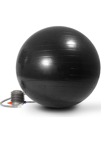 Siyah 55 cm Stili Erkekler Anti Patlama Egzersiz Topları Spor Salonu Fit Topu Profesyonel Pilates Yoga Fitness Denge Kararlılık Topu Supportlbs (Yurt Dışından) fiyatları