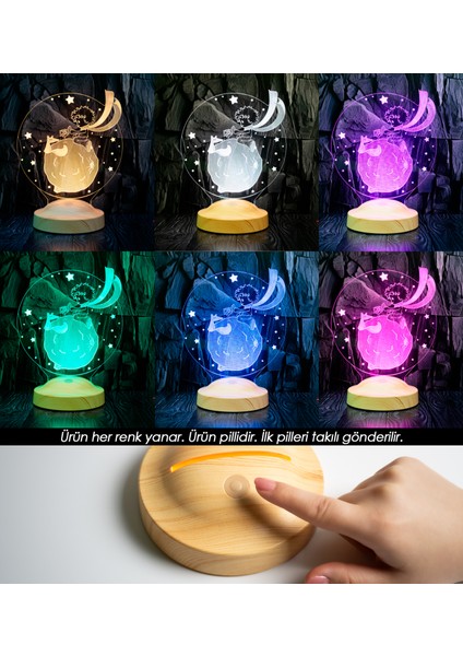 Sevgi Lambasi 3 Boyutlu Kişiye Özel Küçük Prens Le Petit Prince Çocuk Hediyesi Led Lamba fiyatları