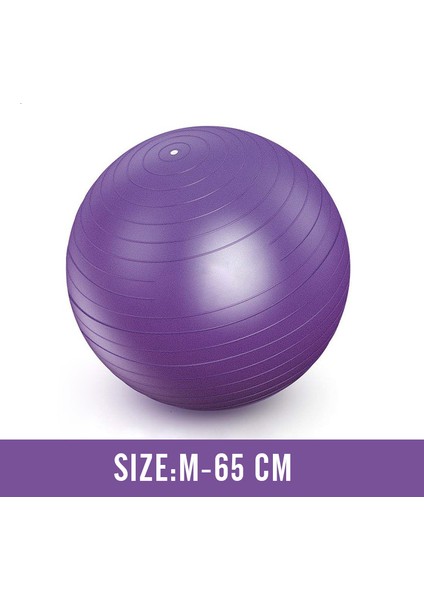 Mor 65CM Tarzı Erkekler Anti Patlama Egzersiz Topları Spor Salonu Fit Topu Profesyonel Pilates Yoga Fitness Denge Kararlılık Topu Supportlbs (Yurt Dışından)
