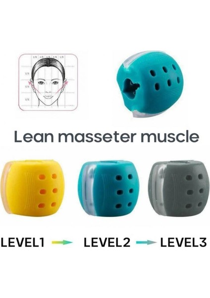 Yeşil 40LBS Stili Lbs Yeni Gıda Sınıfı Silikon Jawline Fitness Topu Yüz Çene Eğitmeni Yüz Isırması Kas Çiğneme Cihazı Boyun Mandibular Egzersiz Cihazı (Yurt Dışından) fırsatları