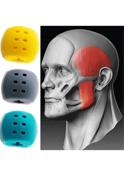 Yeşil 40LBS Stili Lbs Yeni Gıda Sınıfı Silikon Jawline Fitness Topu Yüz Çene Eğitmeni Yüz Isırması Kas Çiğneme Cihazı Boyun Mandibular Egzersiz Cihazı (Yurt Dışından) indirimleri