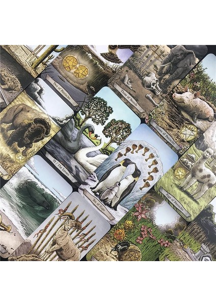 78 Adet TT22 Tarzı Yeni Hayvan Totem Tarot Kartları Komik Masa Oyunu Tarot Güverte Kart Oyunları Oyunu Yetişkinler Kartları Oyunu Rehberlik (Yurt Dışından) indirimleri