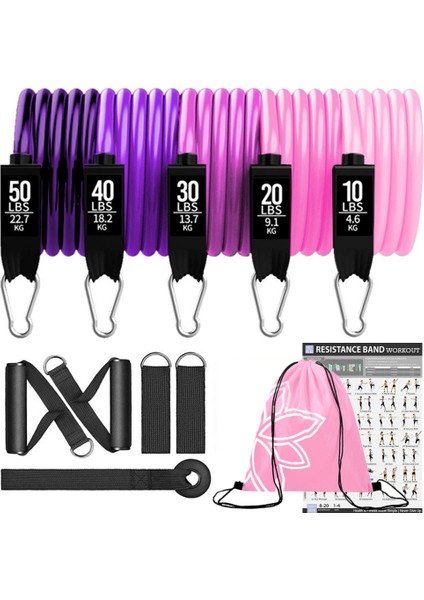 Set D-150LB-11PCS Stili Direnç Bantları Seti Vücut Geliştirme Ev Spor Ekipmanları Profesyonel Ağırlık Eğitimi Fitness Elastik Lastik Bantlar Genişletici (Yurt Dışından)