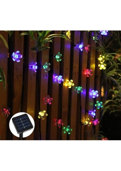 Solar 5m 50 LED Papatya Rgb 8 Fonksiyonlu modelleri