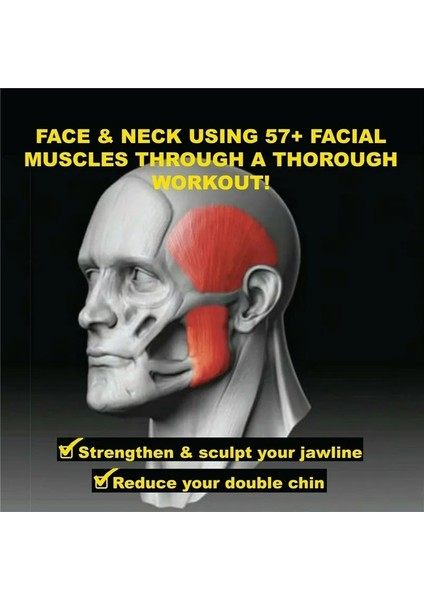 Siyah Stil Gıda Dereceli Silika Çene Egzersiz Topu Tonlama Jawrsize Çene Kas Eğitimi Fitness Topu Jawline Eğitimi Fitball (Yurt Dışından) fırsatları