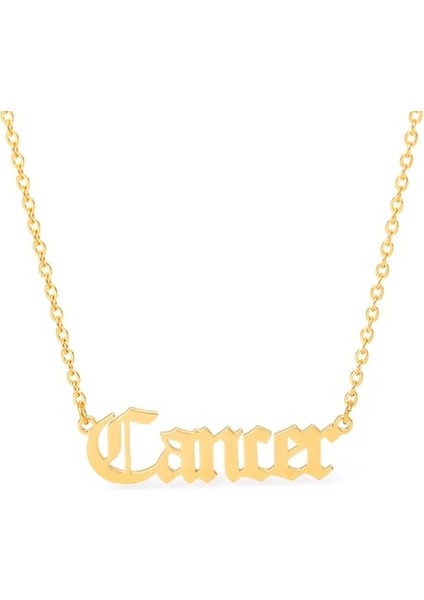 7-Kanser Altın 12 Takımyıldızı Halhal Kadınlar Için Paslanmaz Çelik Eski Ingilizce Mektup Zodyak Işaretleri Halhal Doğum Günü Takı Aksesuarları Femme (Yurt Dışından)