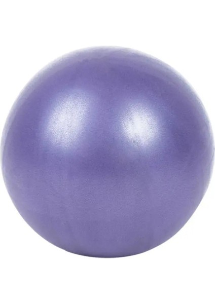 Mor Tarzı Fitness Aletleri Için Profesyonel Fiziksel Fitness Topu Egzersiz Dengesi Ev Eğitmeni Denge Bölmeleri Spor Salonu Pilates Mini Yoga Topu (Yurt Dışından)