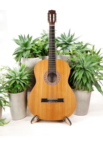 Klasik Gitar DNZ375 Gitar Softcase Sert +Kılıf fiyatları