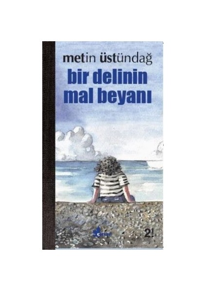Bir Delinin Mal Beyanı