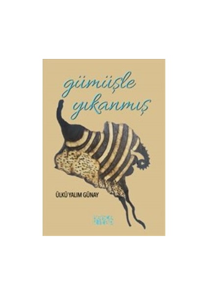 Gümüşle Yıkanmış