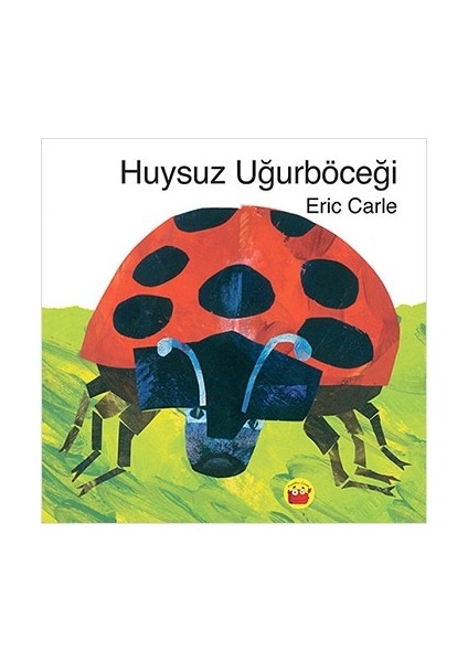 Huysuz Uğurböceği