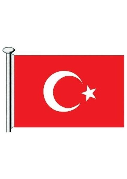 Türk Bayrağı 30X45