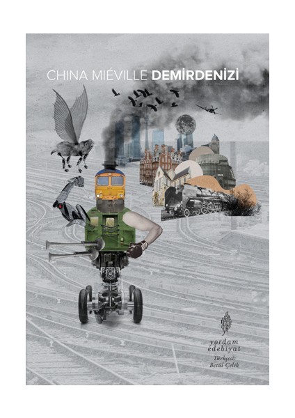 Demirdenizi
