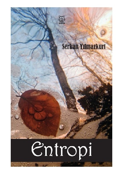 Entropi