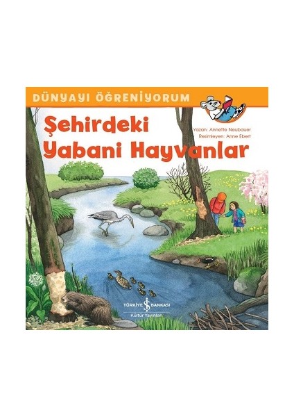 Şehirdeki Yabani Hayvanlar - Dünyayı Öğreniyorum