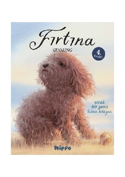 Fırtına
