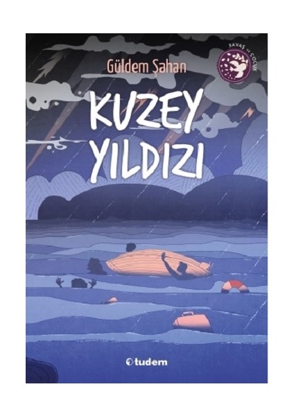Kuzey Yıldızı