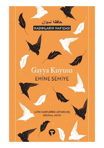 Gayya Kuyusu