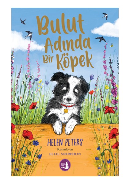 Bulut Adında Bir Köpek