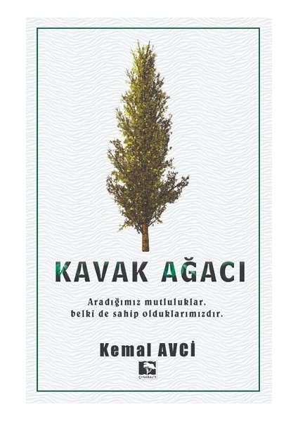Kavak Ağacı
