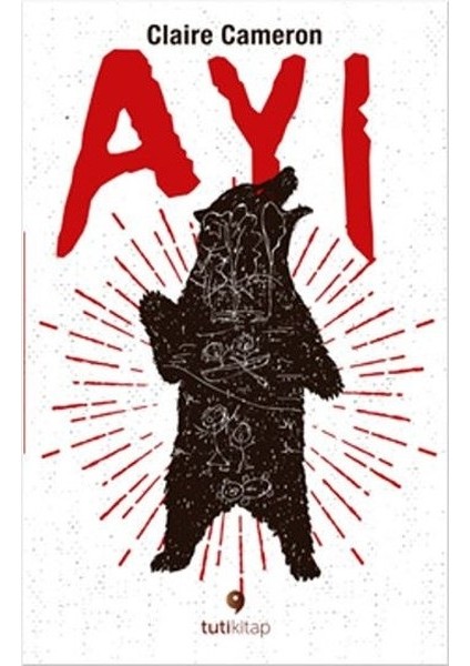 Ayı