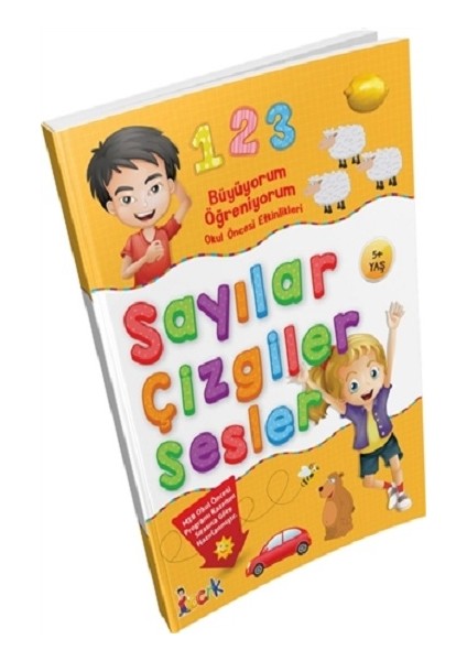 Büyüyorum Öğreniyorum Okul Öncesi Etkinlikleri Sayılar Çizgiler Sesler