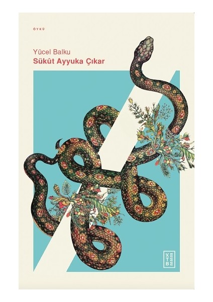 Sükut Ayyuka Çıkar