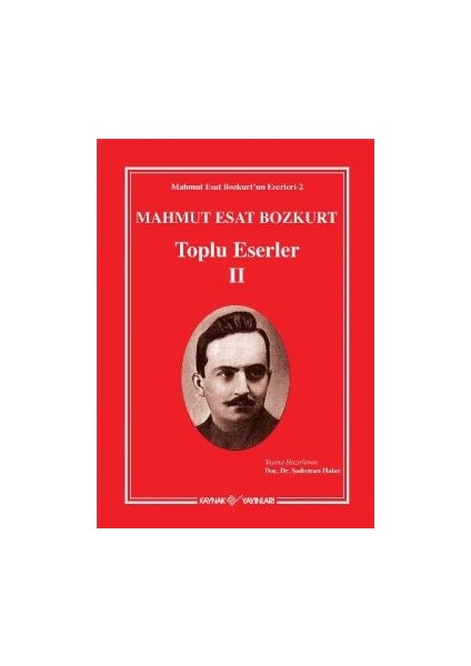 Mahmut Esat Bozkurt - Toplu Eserler 2