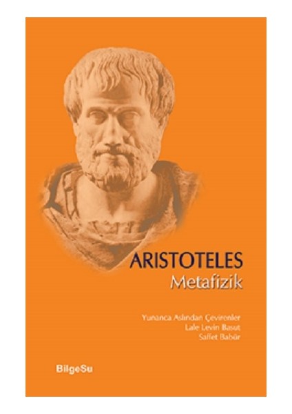Metafizik