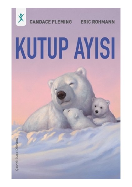 Kutup Ayısı