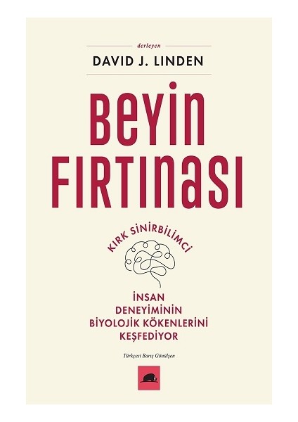 Beyin Fırtınası