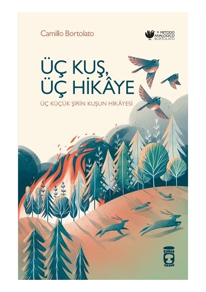 Üç Kuş, Üç Hikaye