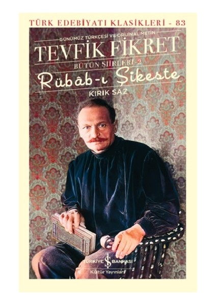 Rübab-I Şikeste - Kırık Saz - Bütün Şiirleri-2