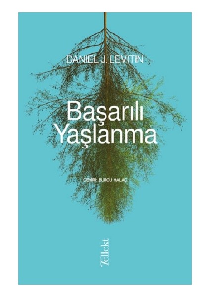 Başarılı Yaşlanma