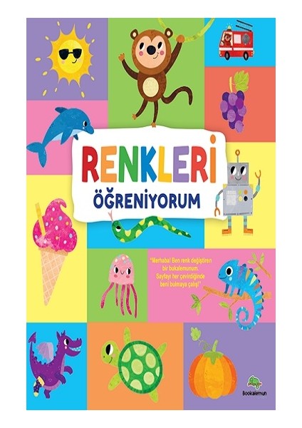 Renkleri Öğreniyorum (Ciltli)