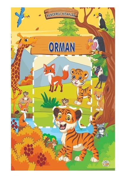 Pencereli Kitaplar Orman (Sıvama Cilt)