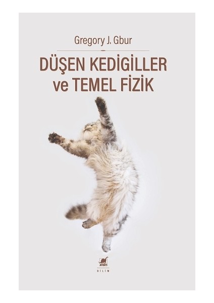 Düşen Kedigiller ve Temel Fizik