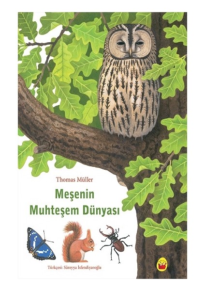 Meşenin Muhteşem Dünyası