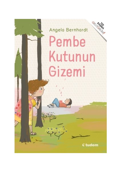 Pembe Kutunun Gizemi